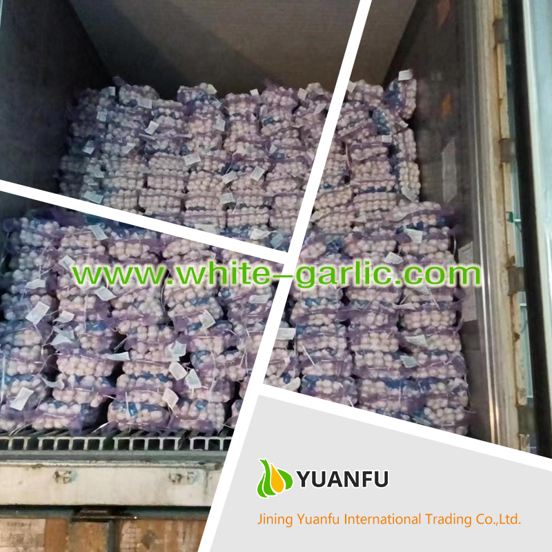 garlic sellers garlic sellers
